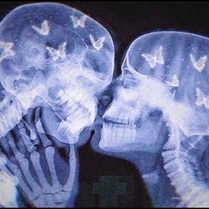 Meet your Posher, Jonas